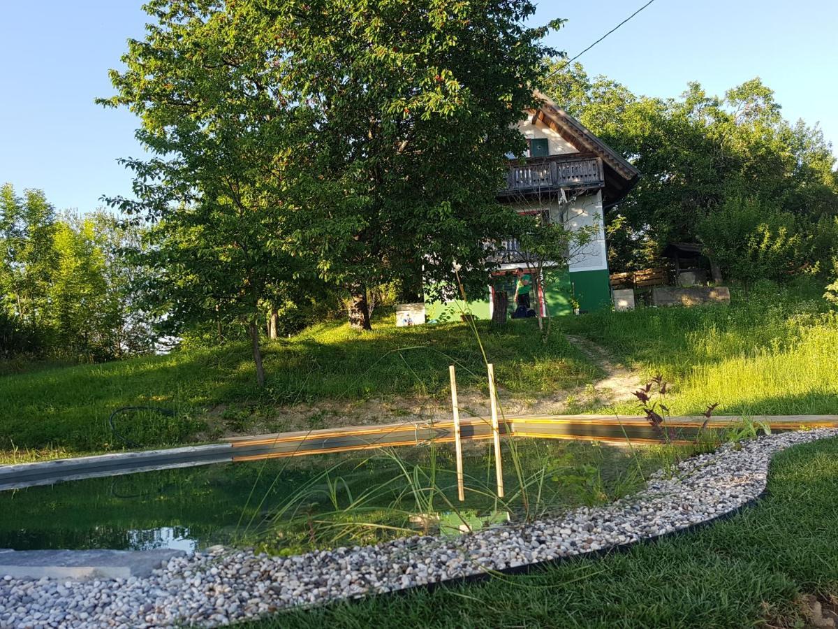 Holiday Home Sonnenhaus Svecina Dış mekan fotoğraf